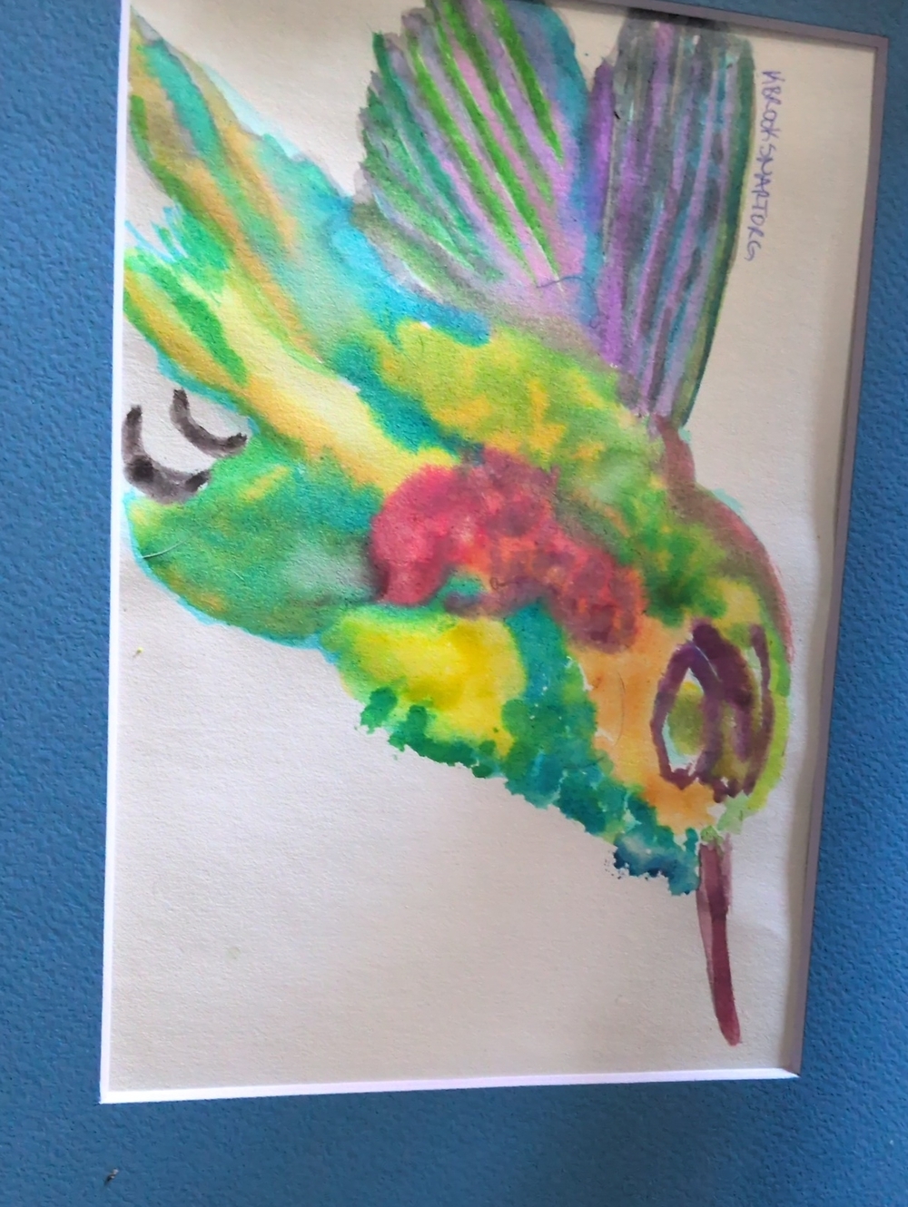 Watercolor Hummingbird Bird Art Print - Multicolor